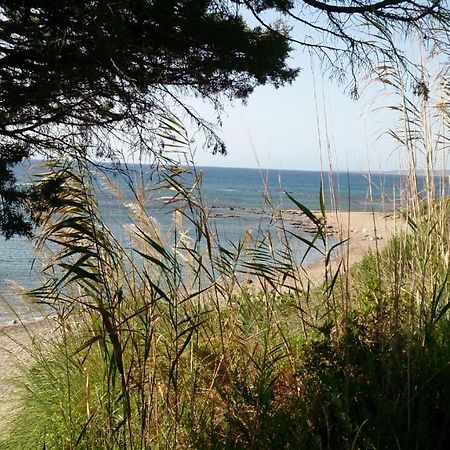 Alisahni Beachfront Villas Kiotari Zewnętrze zdjęcie